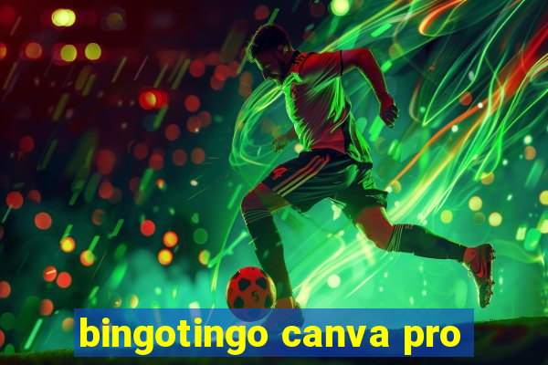 bingotingo canva pro